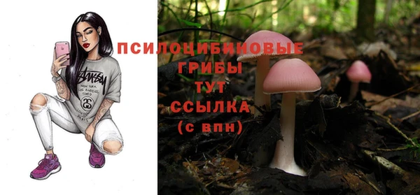 ECSTASY Абинск
