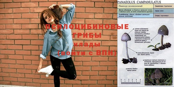 меф Алексеевка