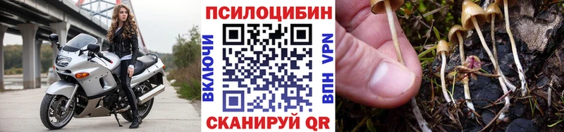 Псилоцибиновые грибы мухоморы  KRAKEN как зайти  Козловка 